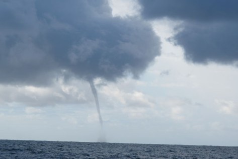 Waterspout off Dee Why Beach, Sydney, 19 Feb 2013 (Image: Christopher Wright)